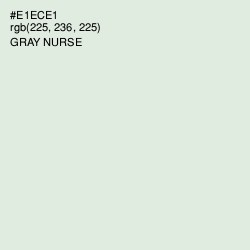 #E1ECE1 - Gray Nurse Color Image